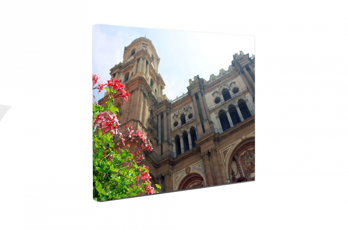 Tablou canvas : Catedral de la Encarnación de Málaga [5]