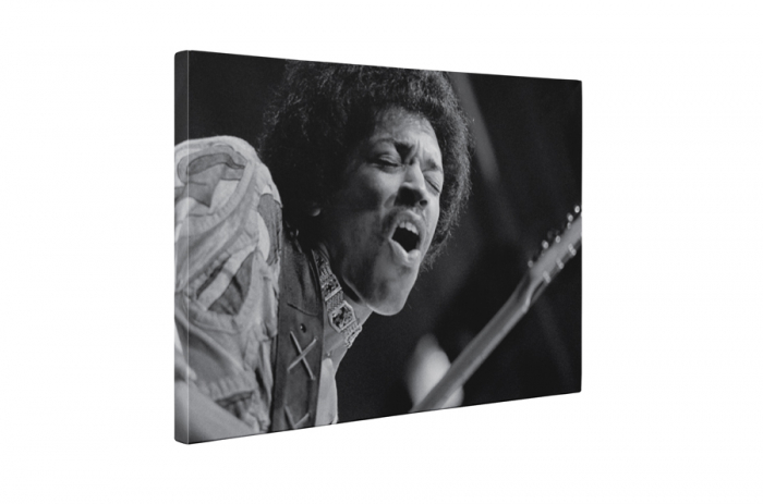 Tablou canvas : Jimi Hendrix [5]