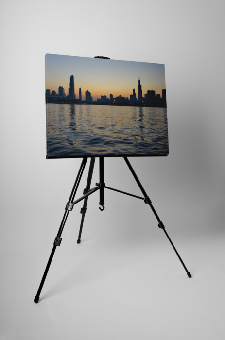 Tablou canvas : Chicago [3]