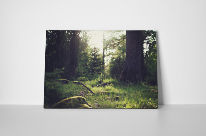Tablou canvas : In iarba [2]