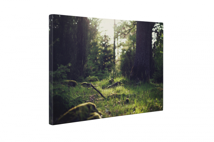 Tablou canvas : In iarba [5]