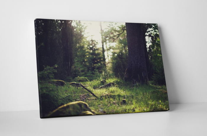 Tablou canvas : In iarba [1]