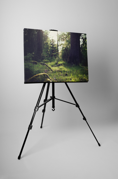 Tablou canvas : In iarba [3]