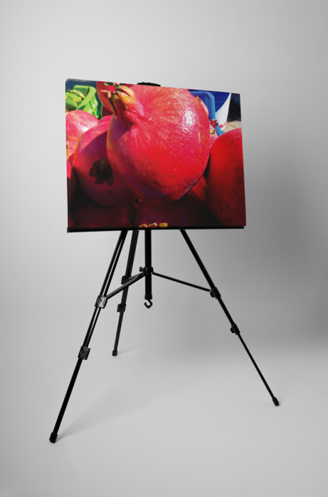 Tablou canvas : Rodie [3]