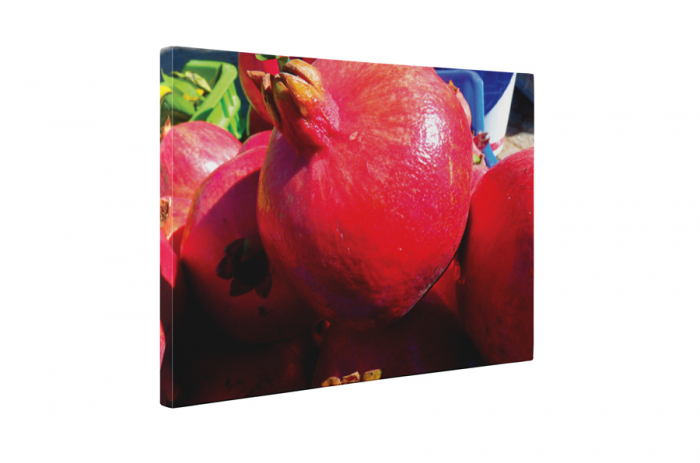 Tablou canvas : Rodie [5]