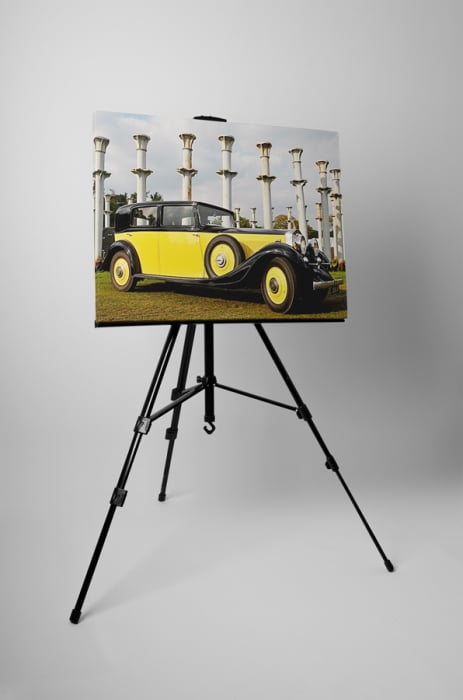 Tablou canvas : Galben si negru [3]