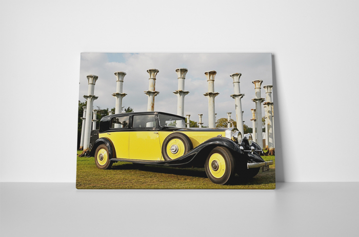 Tablou canvas : Galben si negru [2]