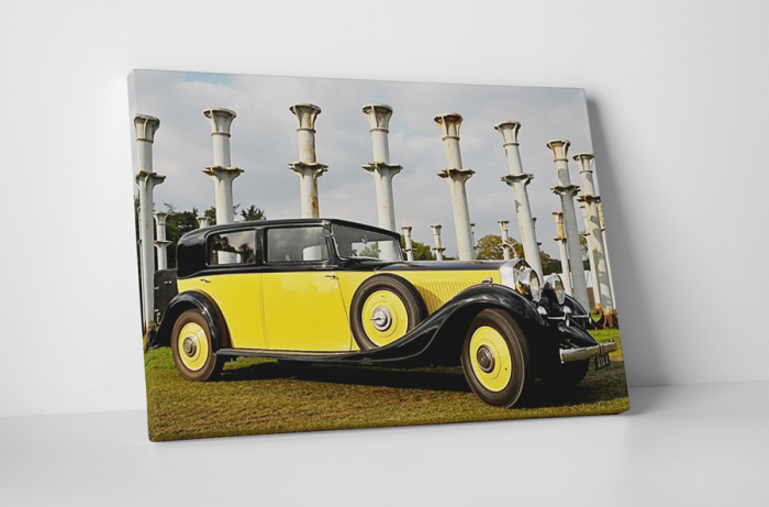 Tablou canvas : Galben si negru [1]