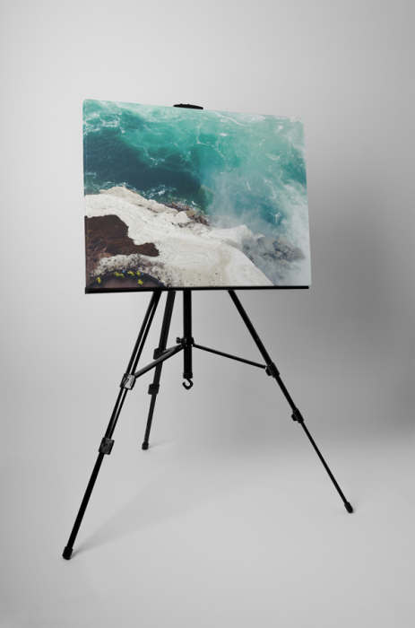 Tablou canvas : Marea [3]