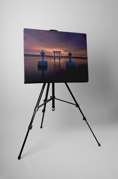 Tablou canvas : Torii [3]