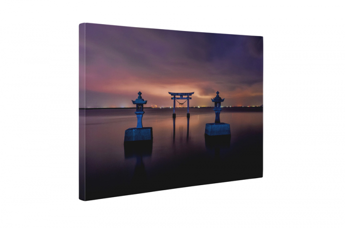 Tablou canvas : Torii [5]