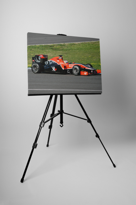 Tablou canvas : Masina Forumula 1 [3]