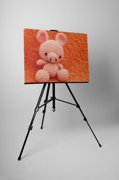 Tablou canvas : Purcelus din plus [3]