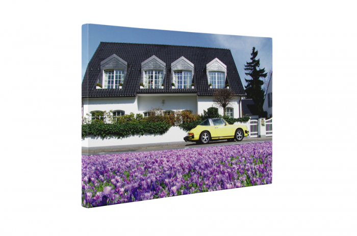 Tablou canvas : Viata frumoasa [5]