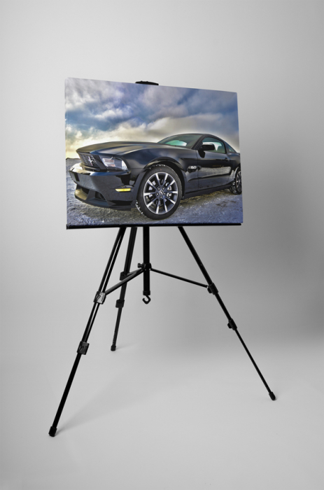 Tablou canvas : Ford Mustang [3]