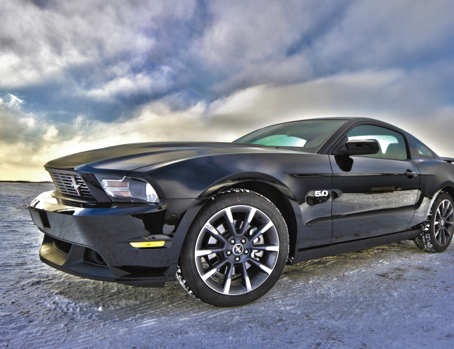 Tablou canvas : Ford Mustang [4]