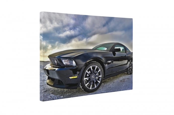 Tablou canvas : Ford Mustang [5]