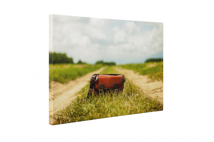 Tablou canvas : Geanta pe camp [5]