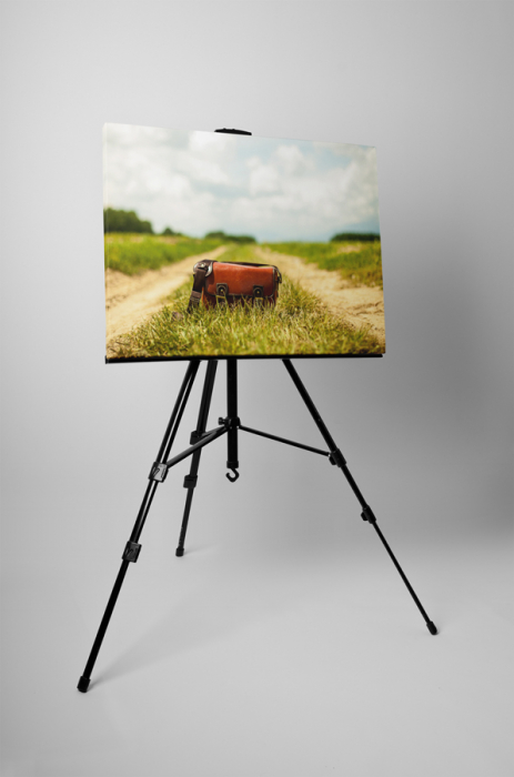 Tablou canvas : Geanta pe camp [3]
