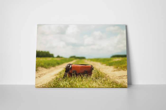 Tablou canvas : Geanta pe camp [2]