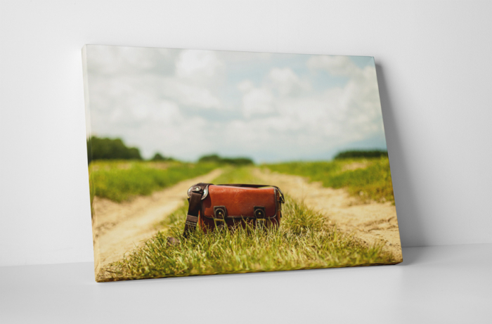 Tablou canvas : Geanta pe camp [1]