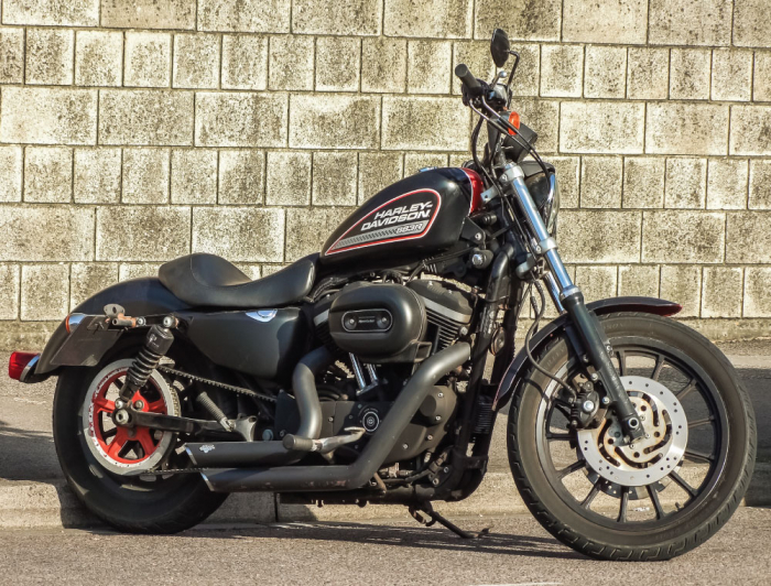 Tablou canvas : Harley [2]