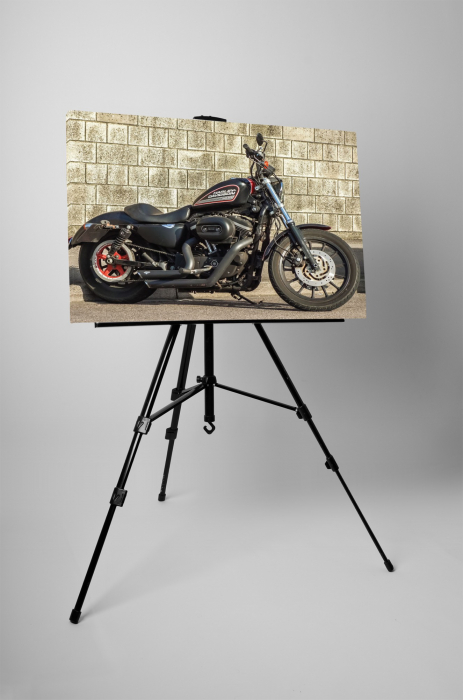 Tablou canvas : Harley [3]