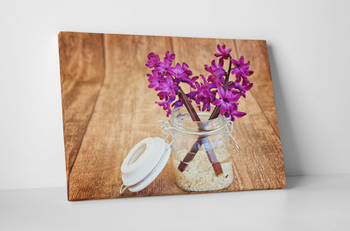 Tablou canvas : Zambila [1]