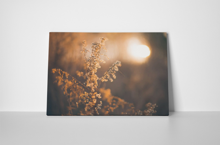 Tablou canvas : Asternut de toamna [2]