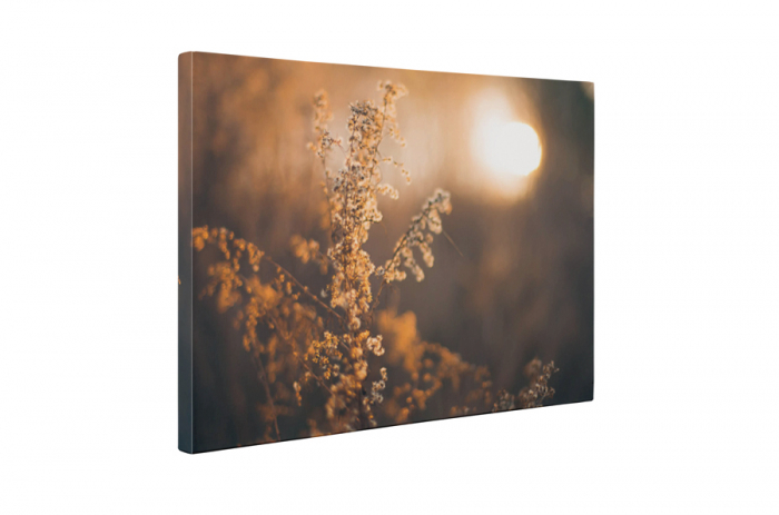 Tablou canvas : Asternut de toamna [5]