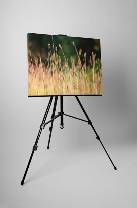 Tablou canvas : Campul vara [3]