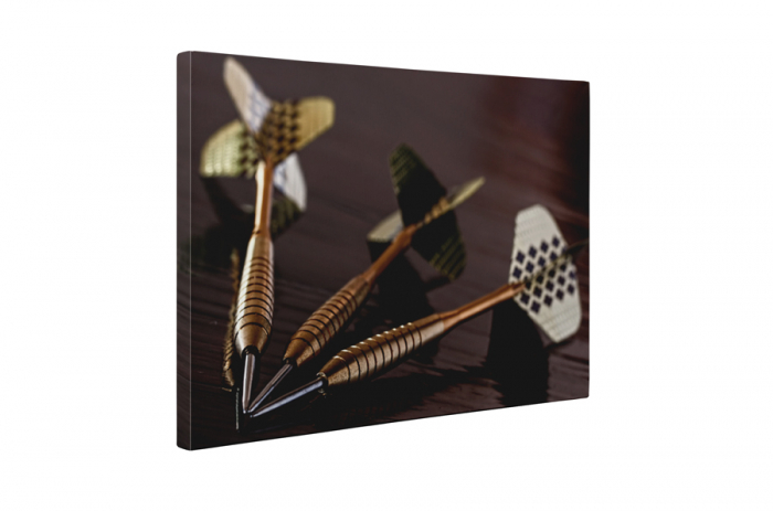Tablou canvas : Darts [5]