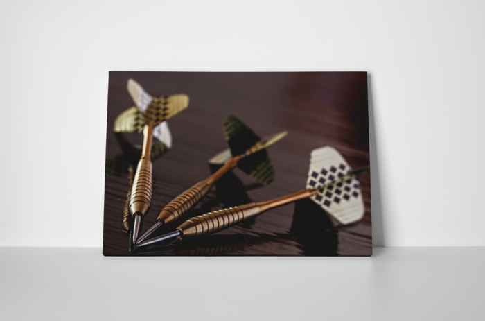 Tablou canvas : Darts [2]