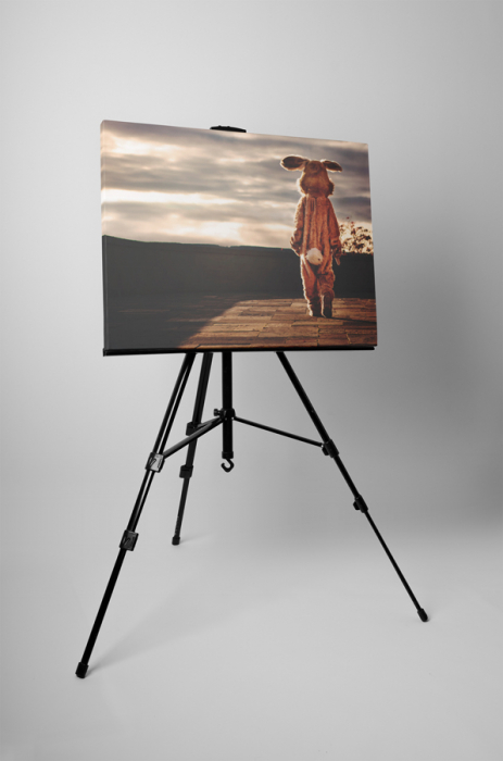 Tablou canvas : Iepurele singuratic [3]
