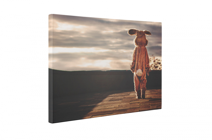 Tablou canvas : Iepurele singuratic [5]