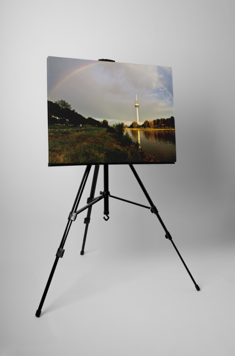Tablou canvas : Turnul de televiziune [3]
