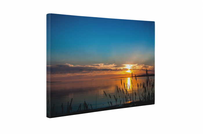 Tablou canvas : Momente placute [5]