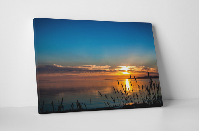 Tablou canvas : Momente placute [1]