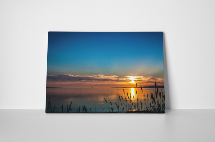 Tablou canvas : Momente placute [2]