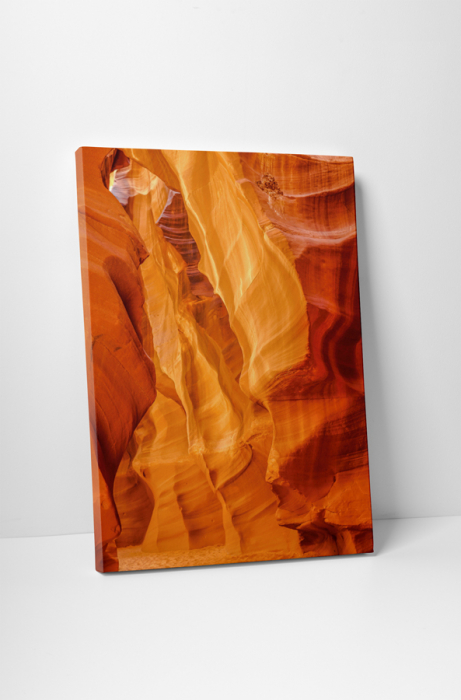 Tablou canvas : Stanci speciale [1]