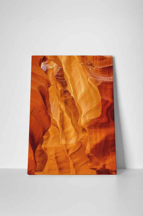 Tablou canvas : Stanci speciale [2]