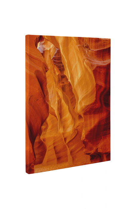 Tablou canvas : Stanci speciale [5]