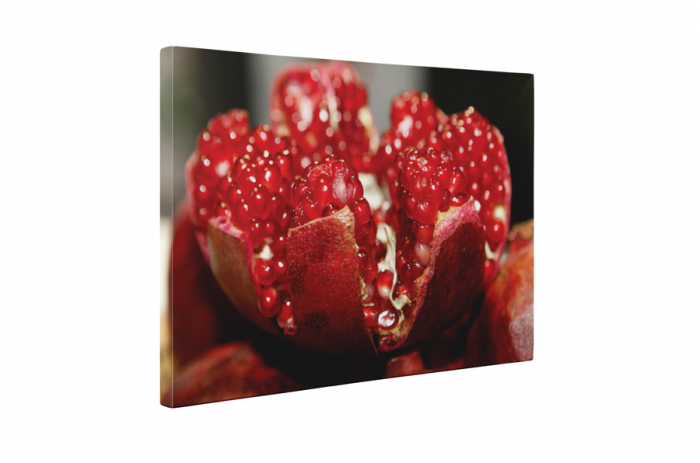 Tablou canvas : Rodie desfacuta [5]
