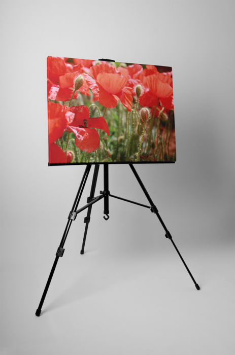 Tablou canvas : Printre maci [3]
