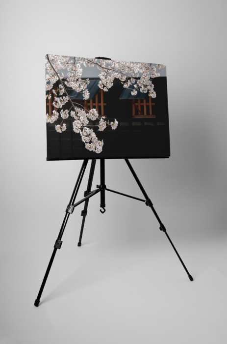 Tablou canvas : A venit primavara [3]