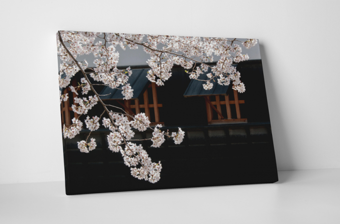 Tablou canvas : A venit primavara [1]