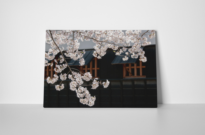 Tablou canvas : A venit primavara [2]