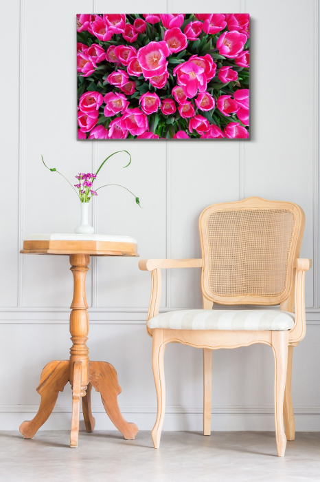 Tablou canvas : Lalele roz [1]