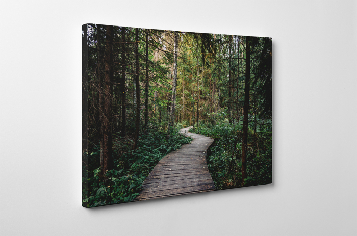 Tablou canvas : Prin padure [3]