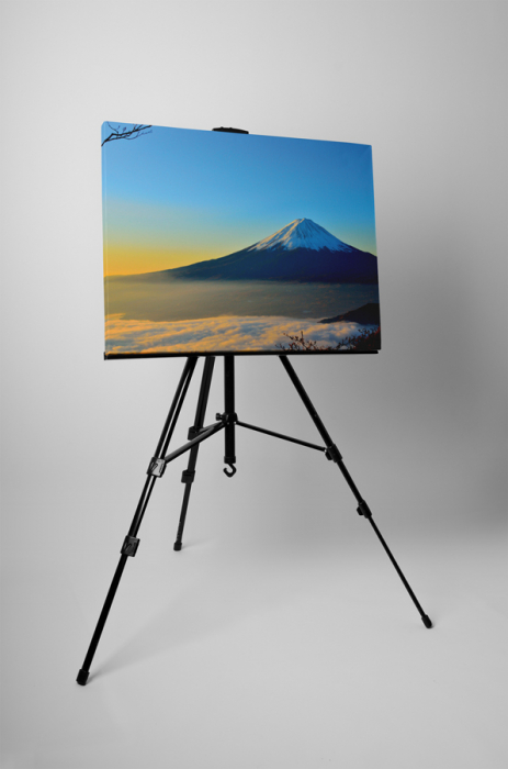 Tablou canvas : Muntele Fuji [3]